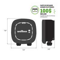 Wallbox Pulsar Plus 40A - NEMA 14-50
