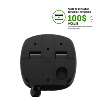 Wallbox Pulsar Plus 48A - Borne fixe